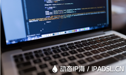 哪種方式可以獲取動態(tài)IP地址?