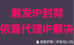 觸發IP封禁依靠代理IP解決